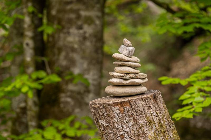Rester aligné avec soi grâce au coaching de carrière orienté sur les valeurs